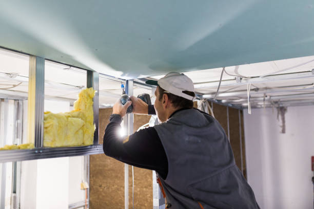 Best Types of Insulation in Wayland, MI